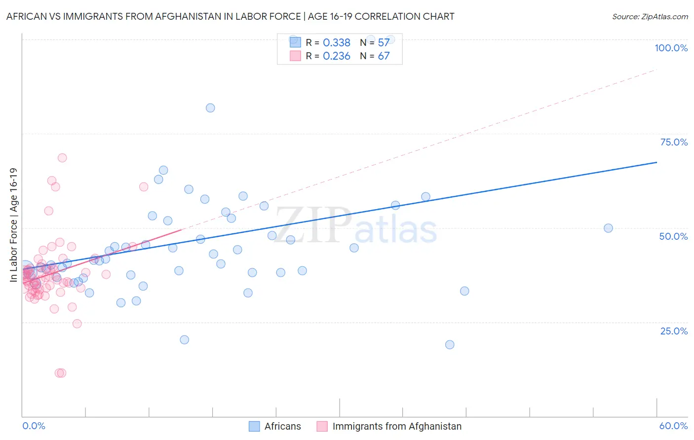 African vs Immigrants from Afghanistan In Labor Force | Age 16-19