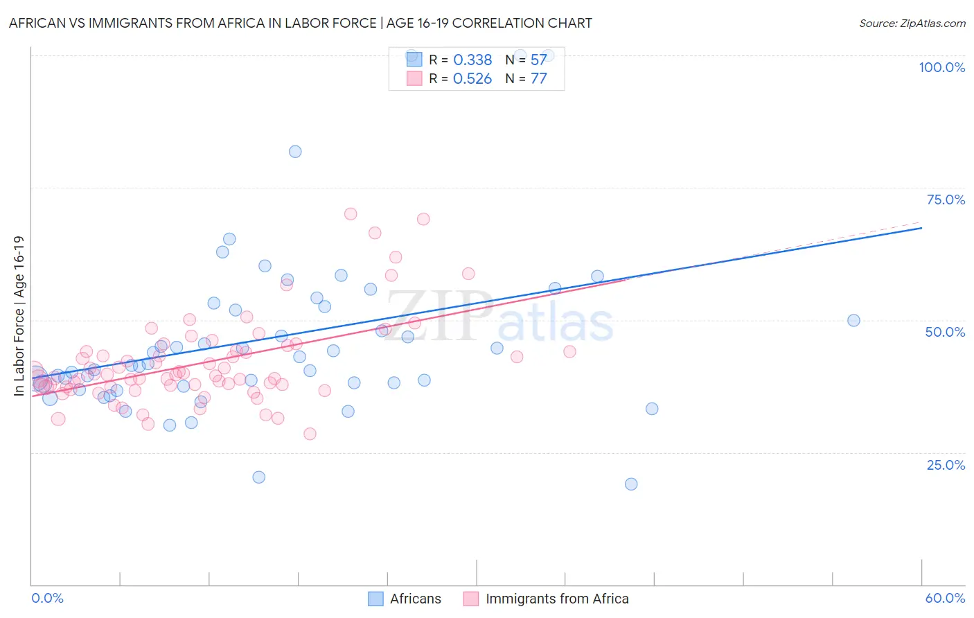 African vs Immigrants from Africa In Labor Force | Age 16-19