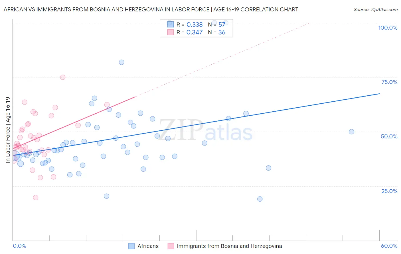 African vs Immigrants from Bosnia and Herzegovina In Labor Force | Age 16-19