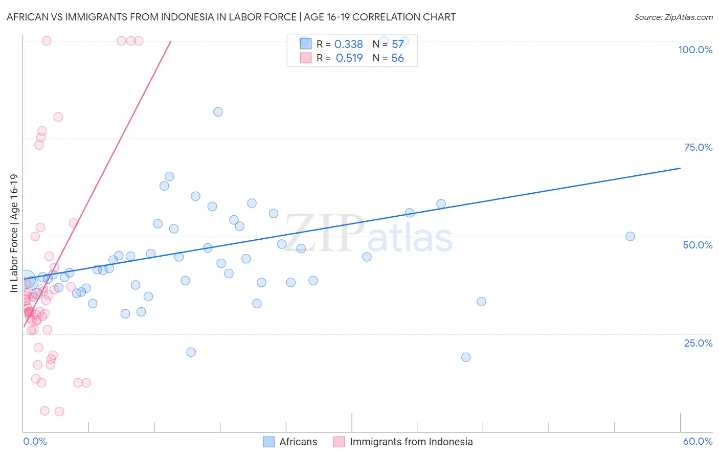 African vs Immigrants from Indonesia In Labor Force | Age 16-19