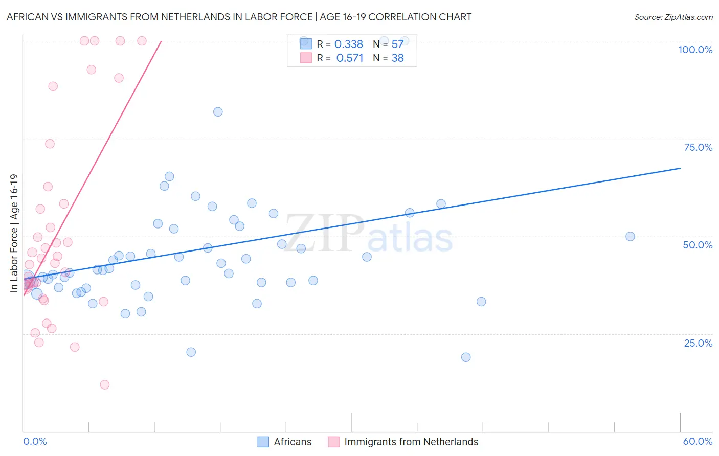 African vs Immigrants from Netherlands In Labor Force | Age 16-19