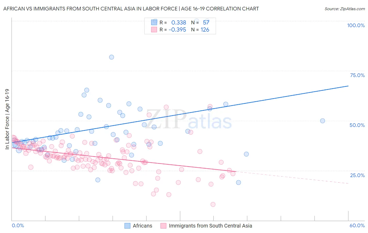 African vs Immigrants from South Central Asia In Labor Force | Age 16-19