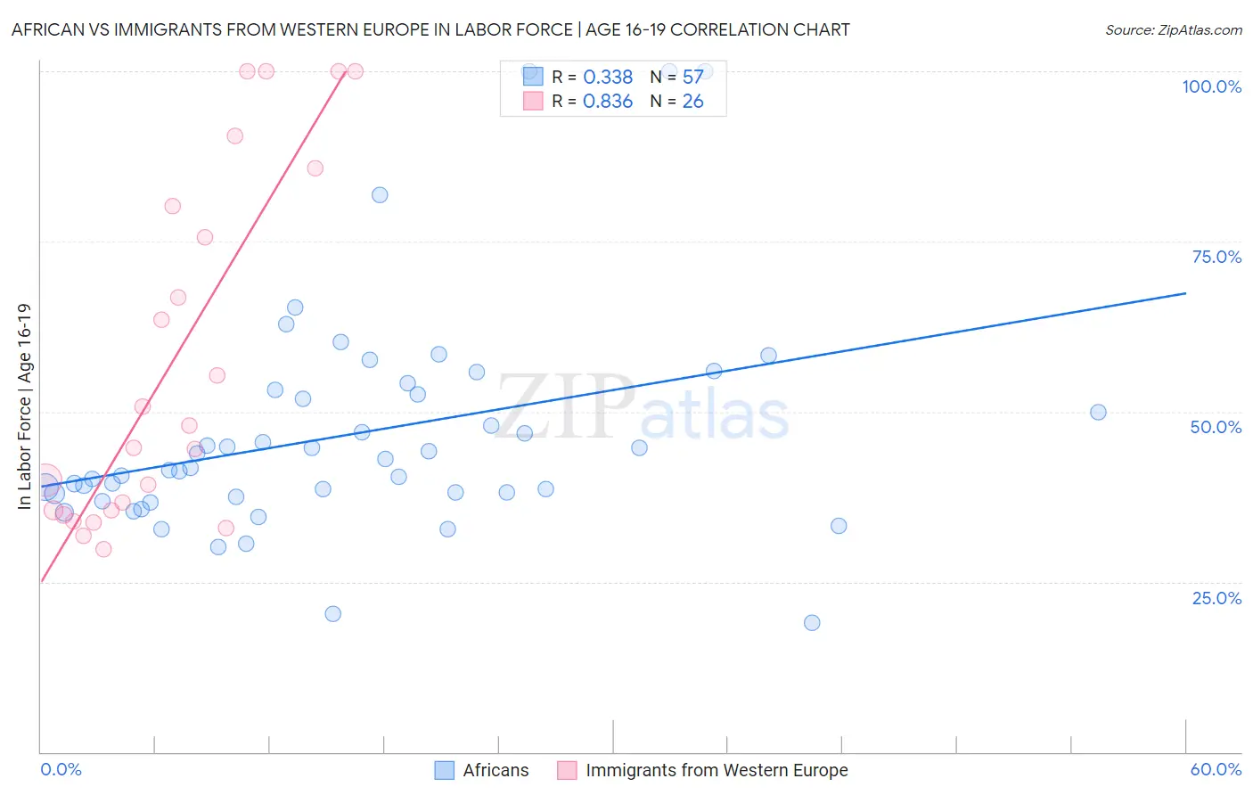 African vs Immigrants from Western Europe In Labor Force | Age 16-19