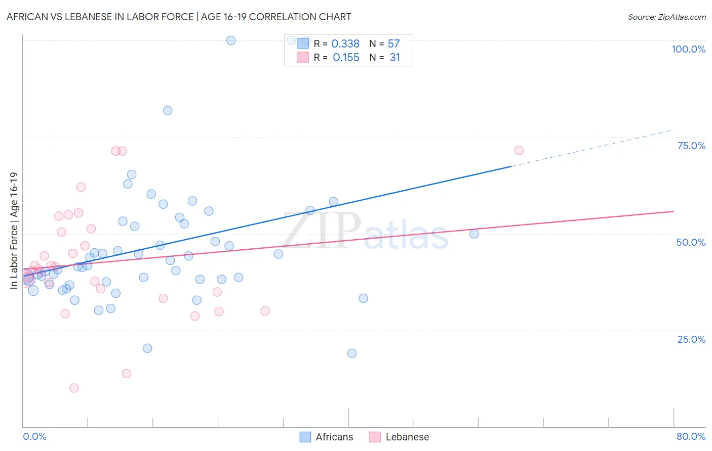African vs Lebanese In Labor Force | Age 16-19