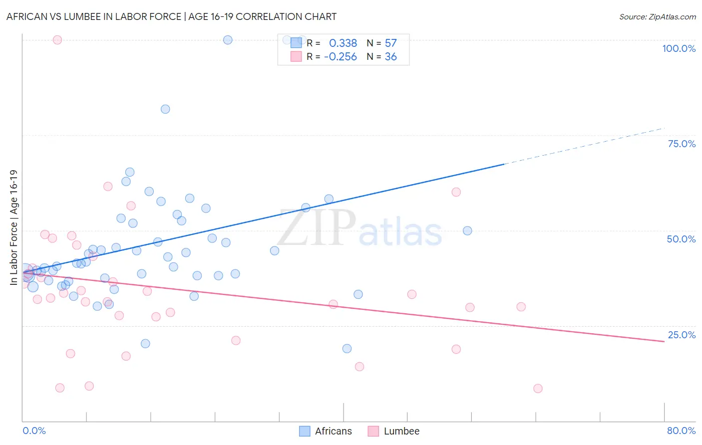 African vs Lumbee In Labor Force | Age 16-19