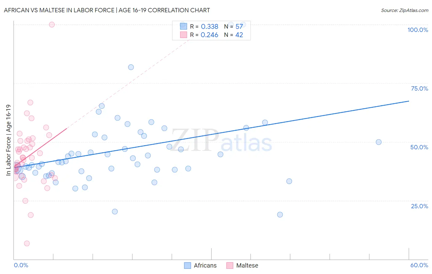African vs Maltese In Labor Force | Age 16-19
