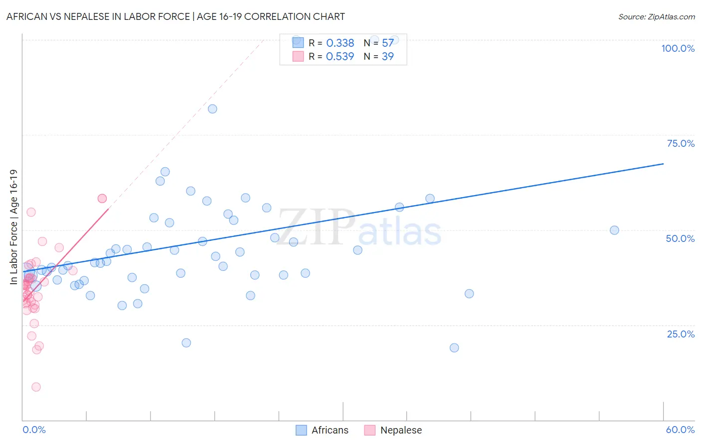 African vs Nepalese In Labor Force | Age 16-19