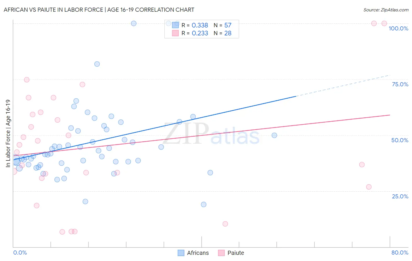 African vs Paiute In Labor Force | Age 16-19