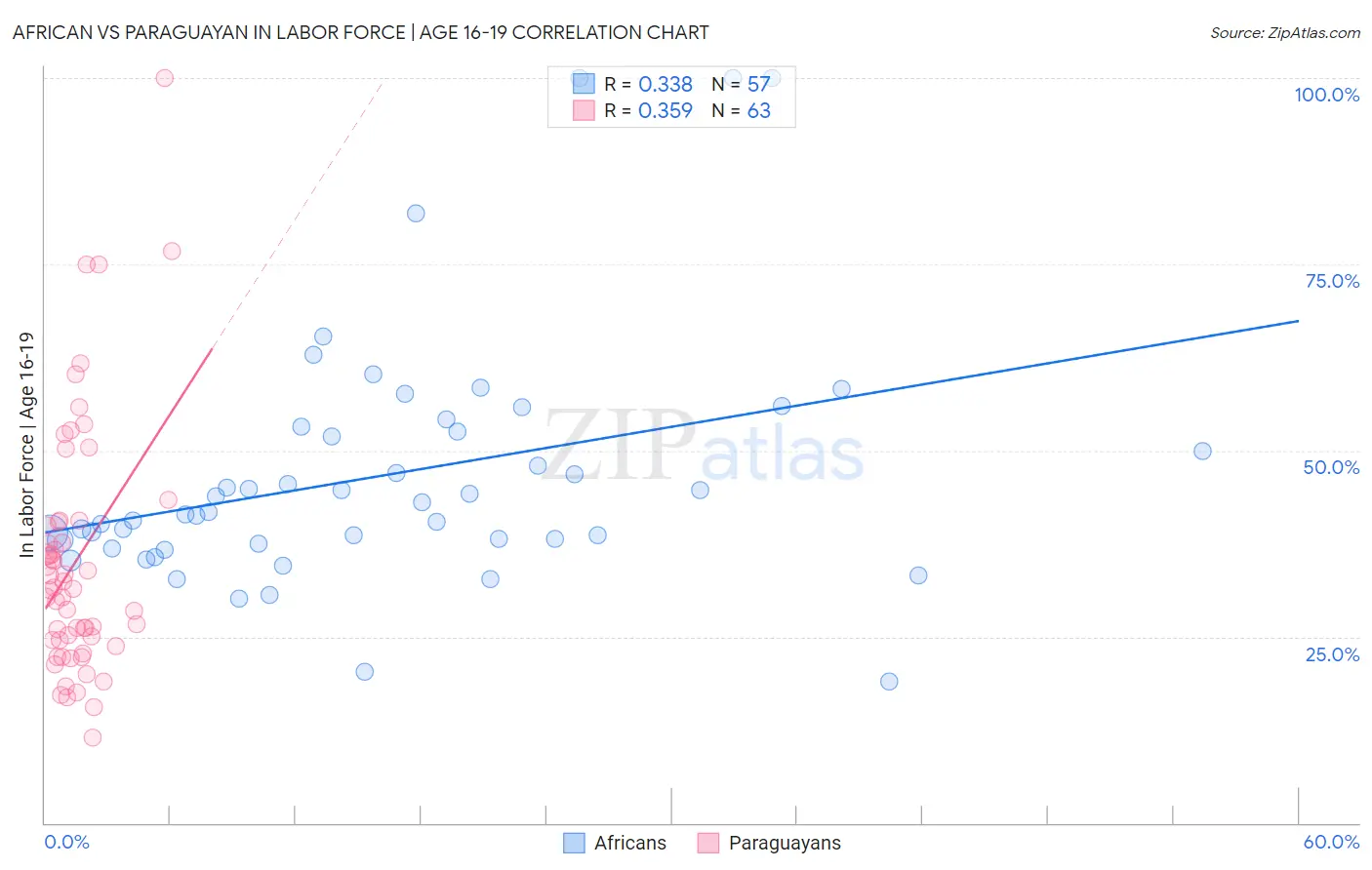 African vs Paraguayan In Labor Force | Age 16-19