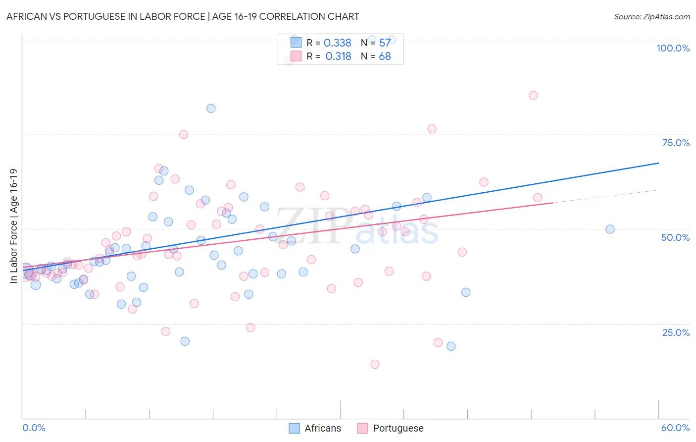 African vs Portuguese In Labor Force | Age 16-19
