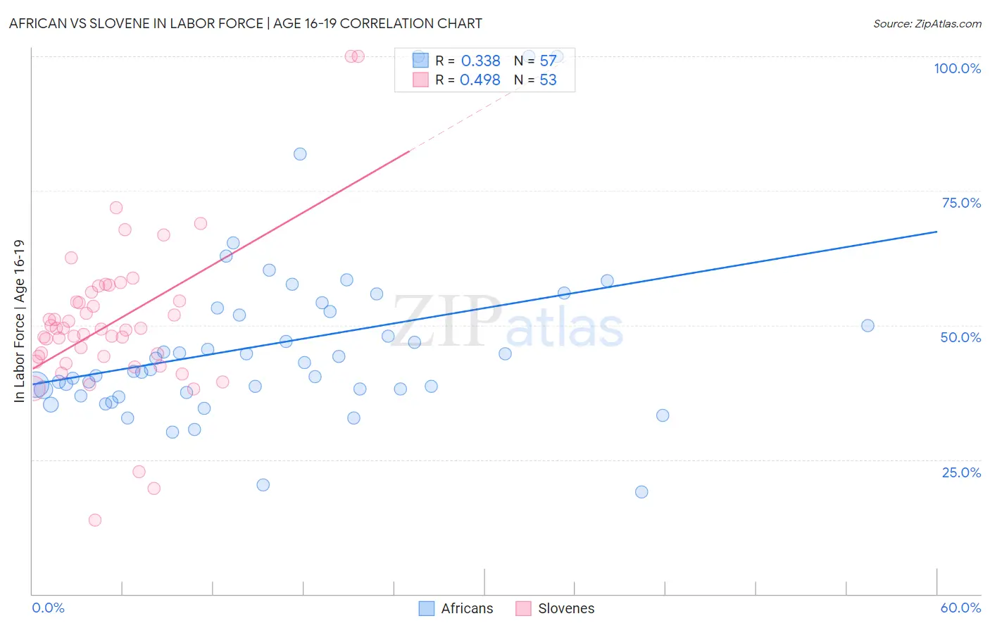 African vs Slovene In Labor Force | Age 16-19