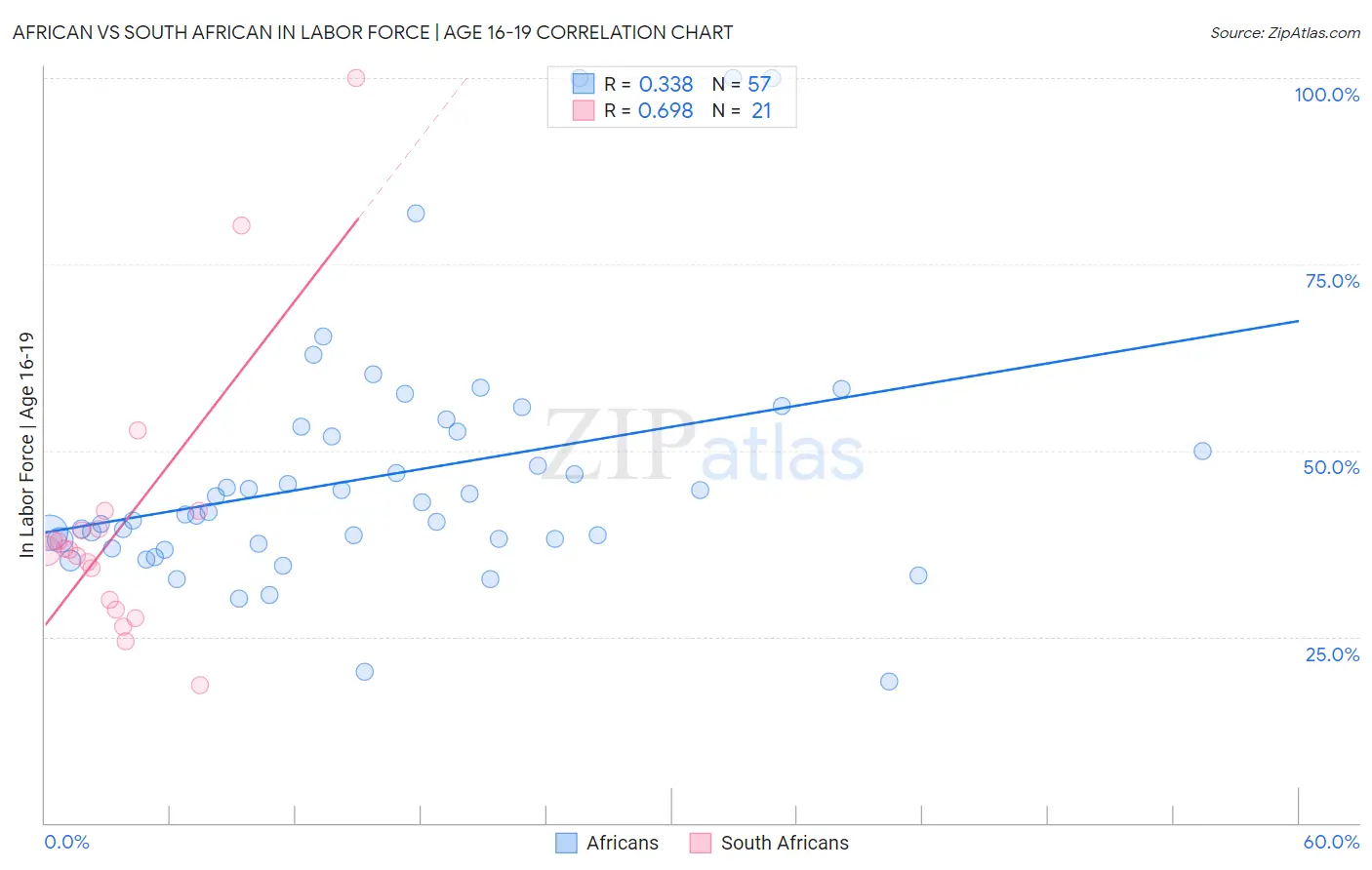 African vs South African In Labor Force | Age 16-19