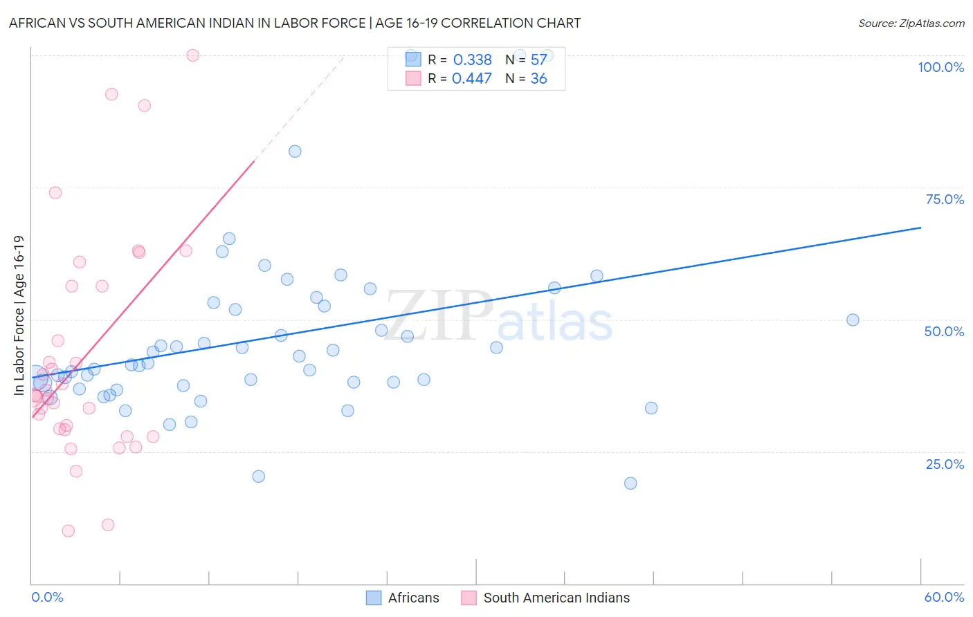 African vs South American Indian In Labor Force | Age 16-19
