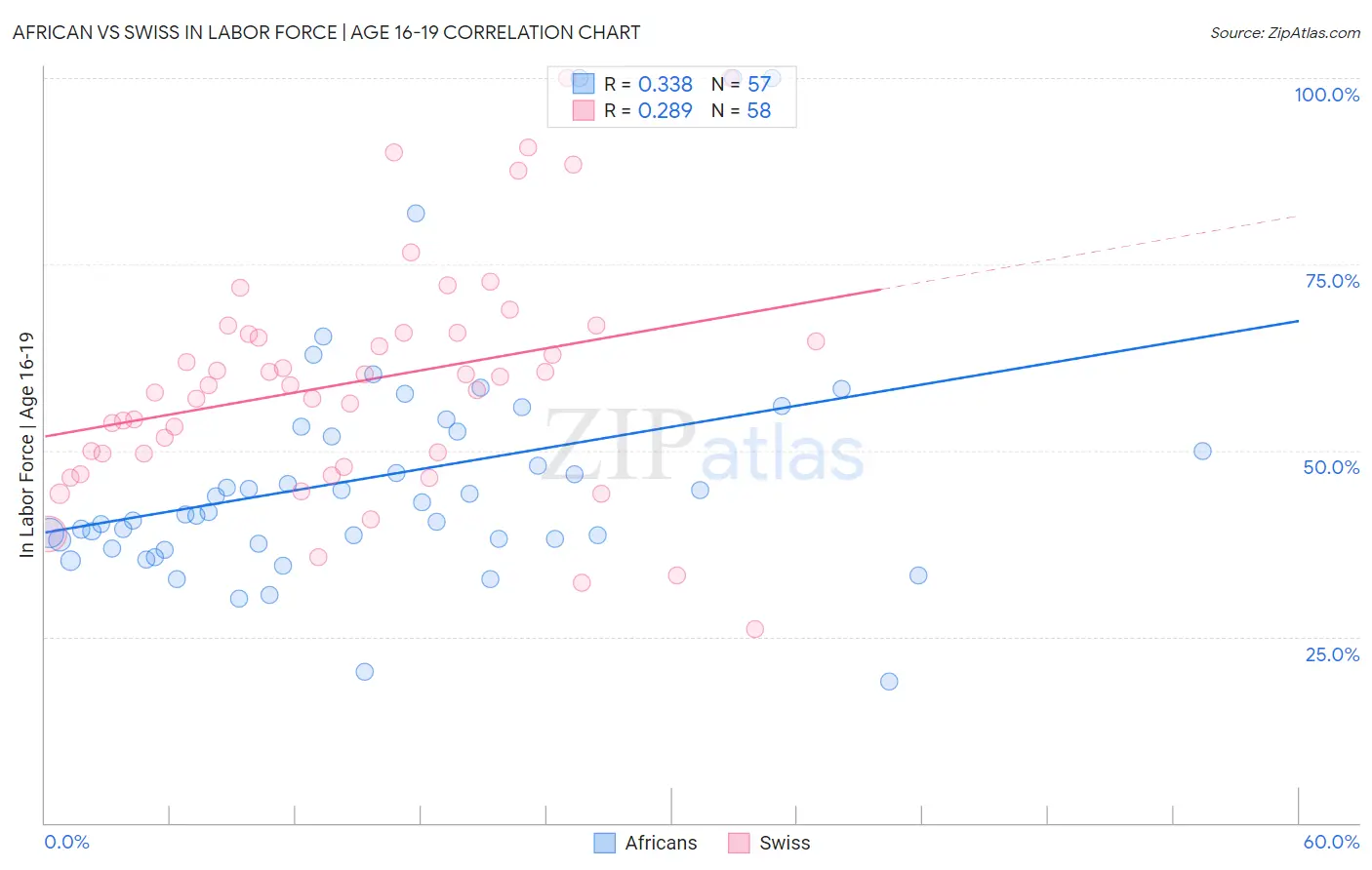 African vs Swiss In Labor Force | Age 16-19
