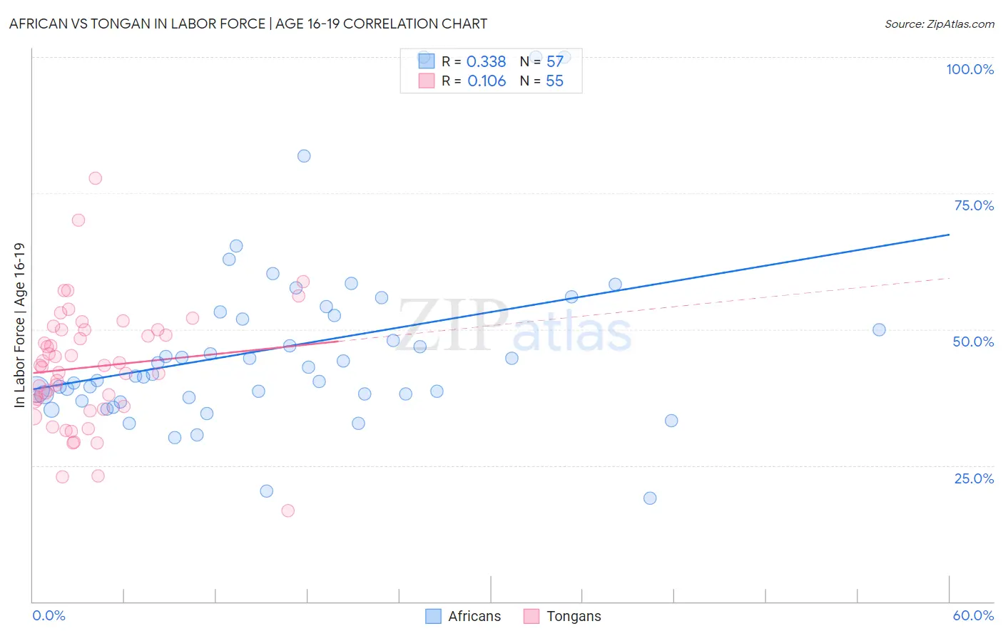 African vs Tongan In Labor Force | Age 16-19
