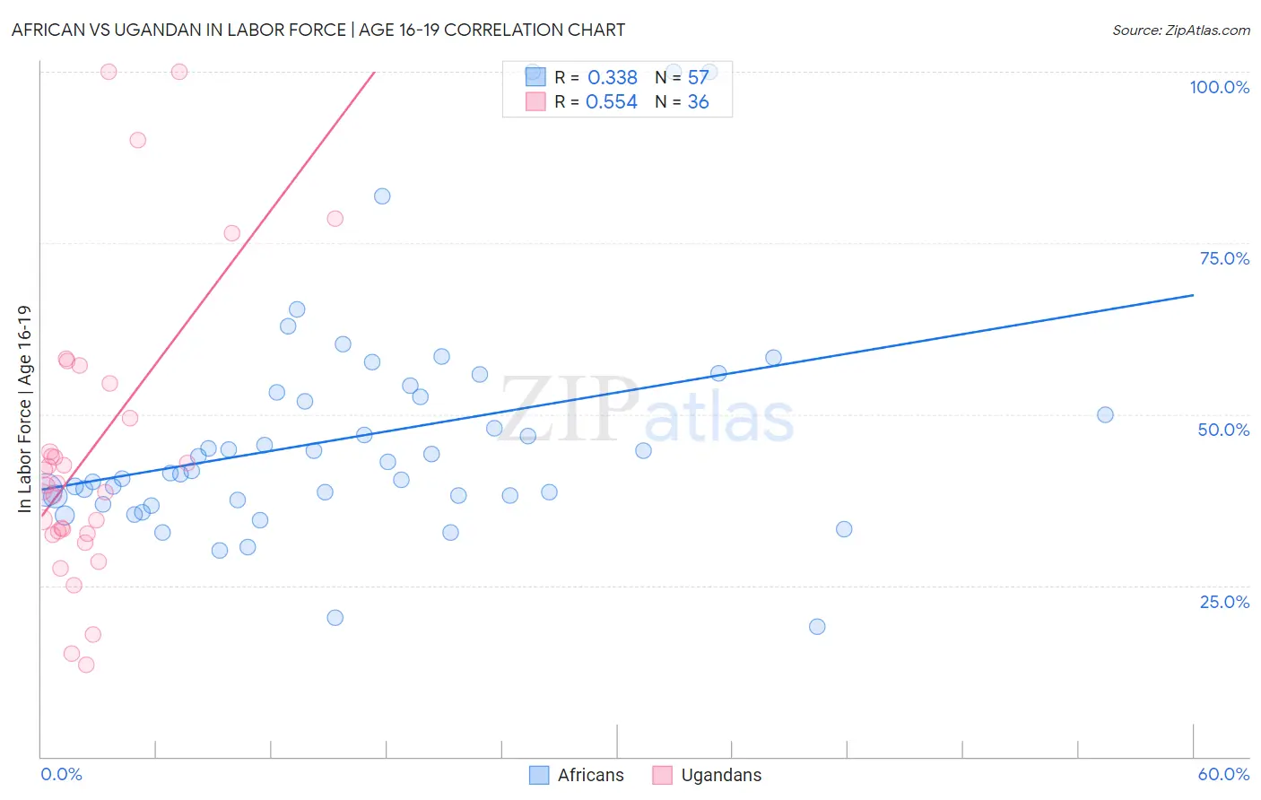 African vs Ugandan In Labor Force | Age 16-19