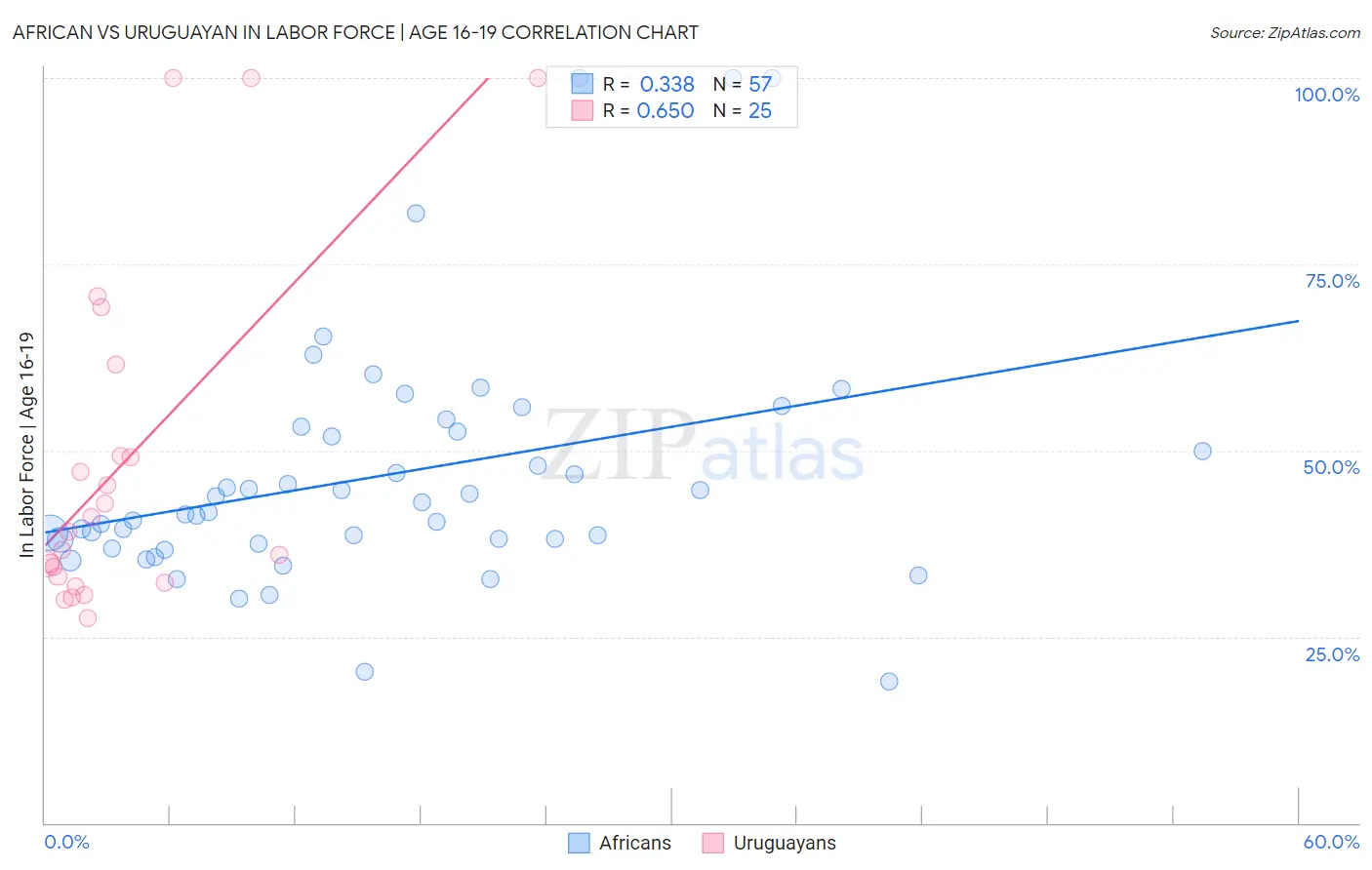African vs Uruguayan In Labor Force | Age 16-19