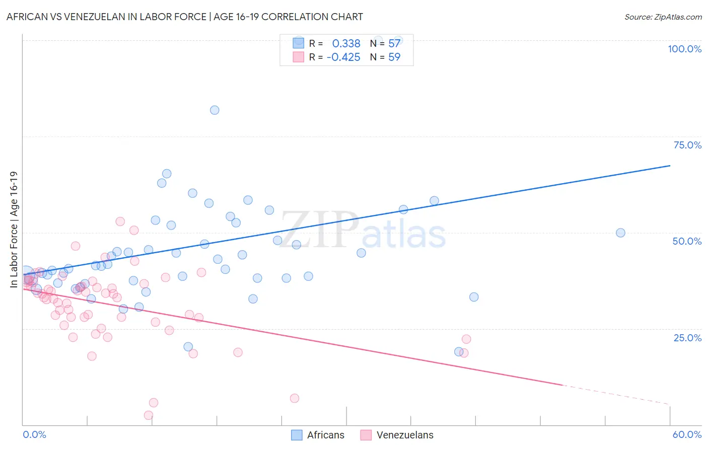 African vs Venezuelan In Labor Force | Age 16-19