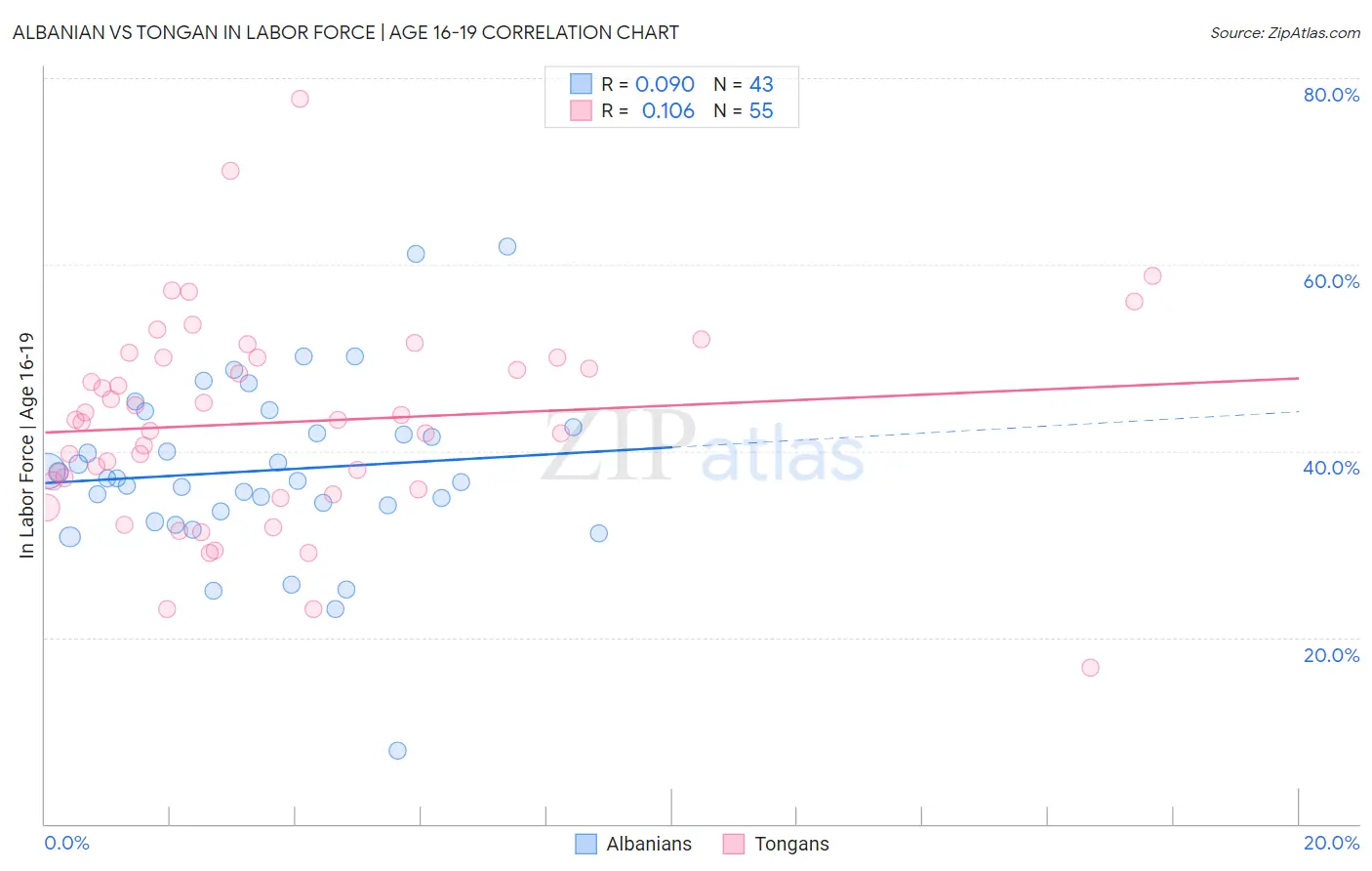 Albanian vs Tongan In Labor Force | Age 16-19