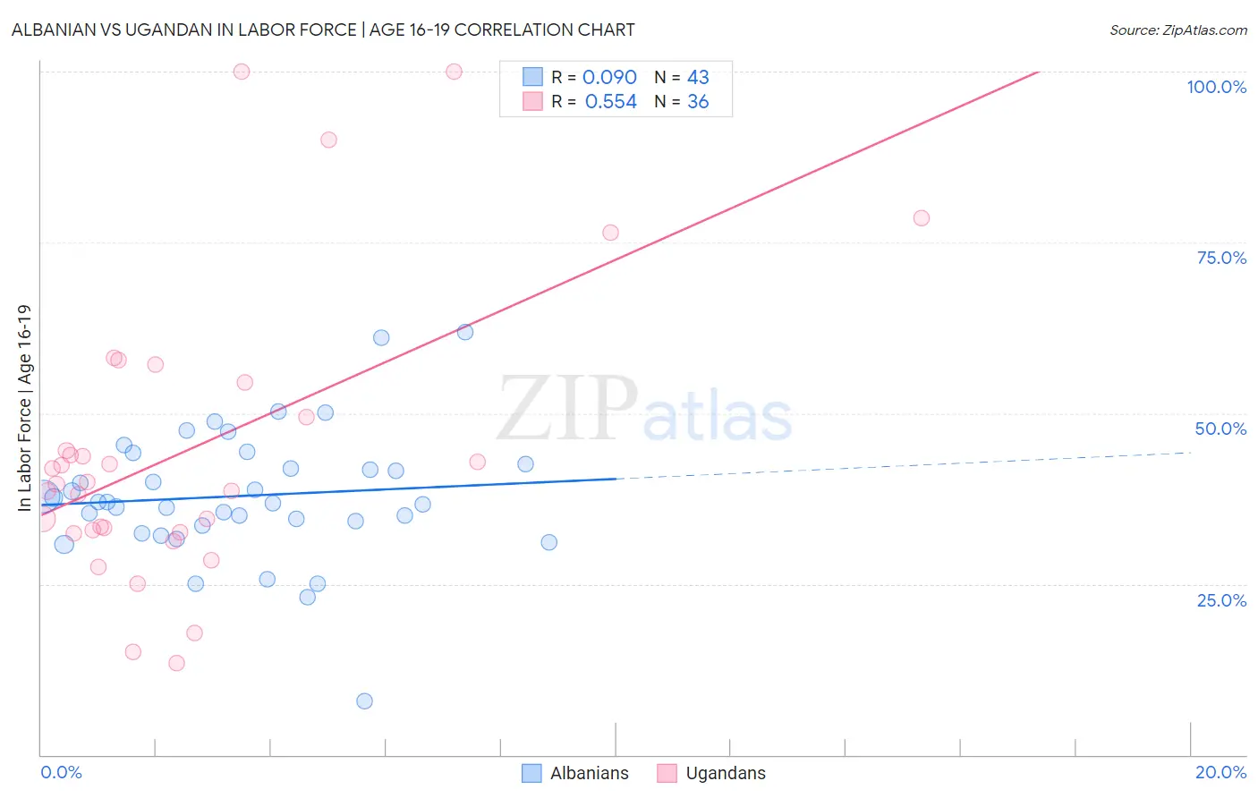 Albanian vs Ugandan In Labor Force | Age 16-19