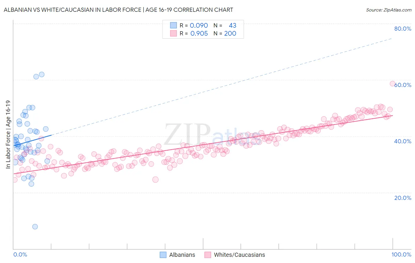 Albanian vs White/Caucasian In Labor Force | Age 16-19