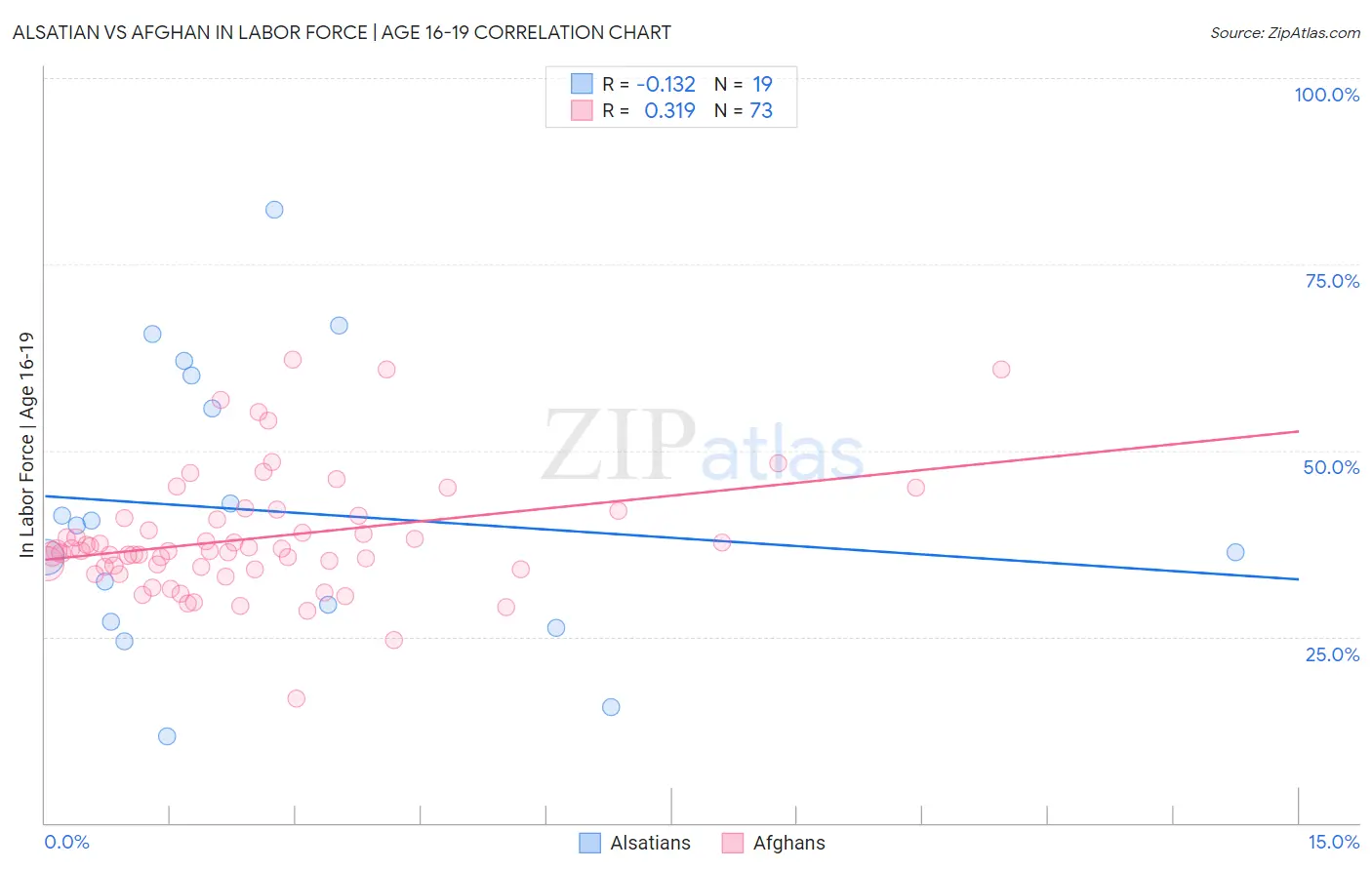 Alsatian vs Afghan In Labor Force | Age 16-19