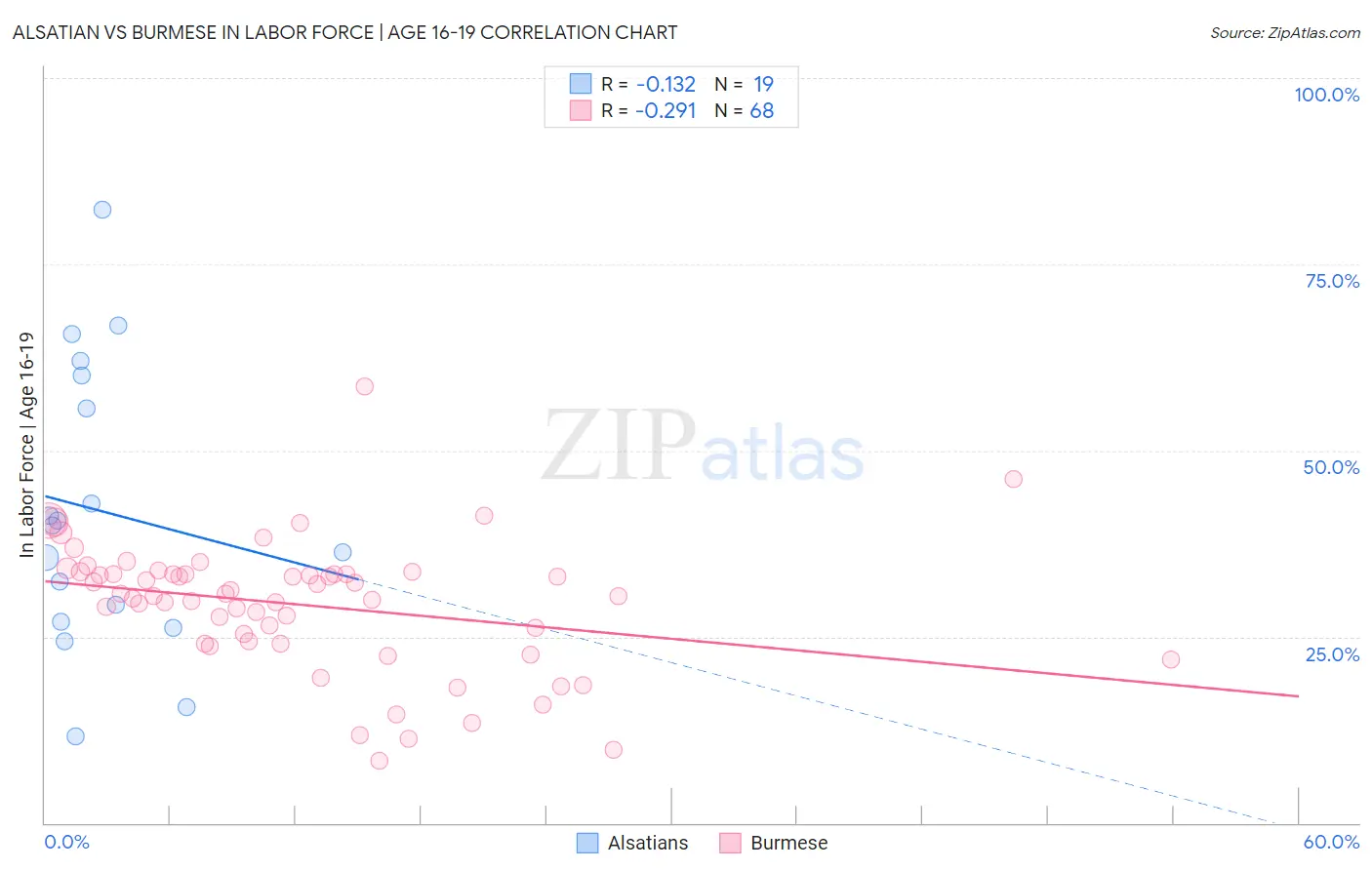 Alsatian vs Burmese In Labor Force | Age 16-19