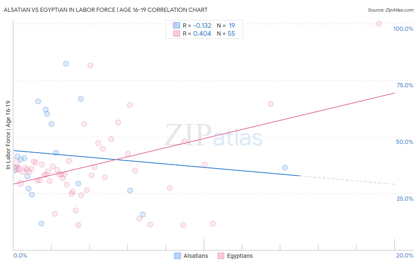 Alsatian vs Egyptian In Labor Force | Age 16-19