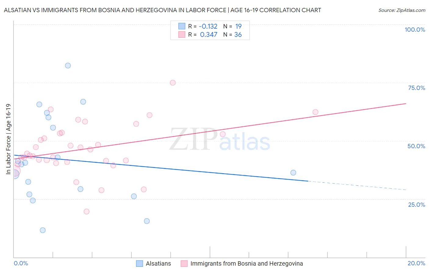 Alsatian vs Immigrants from Bosnia and Herzegovina In Labor Force | Age 16-19