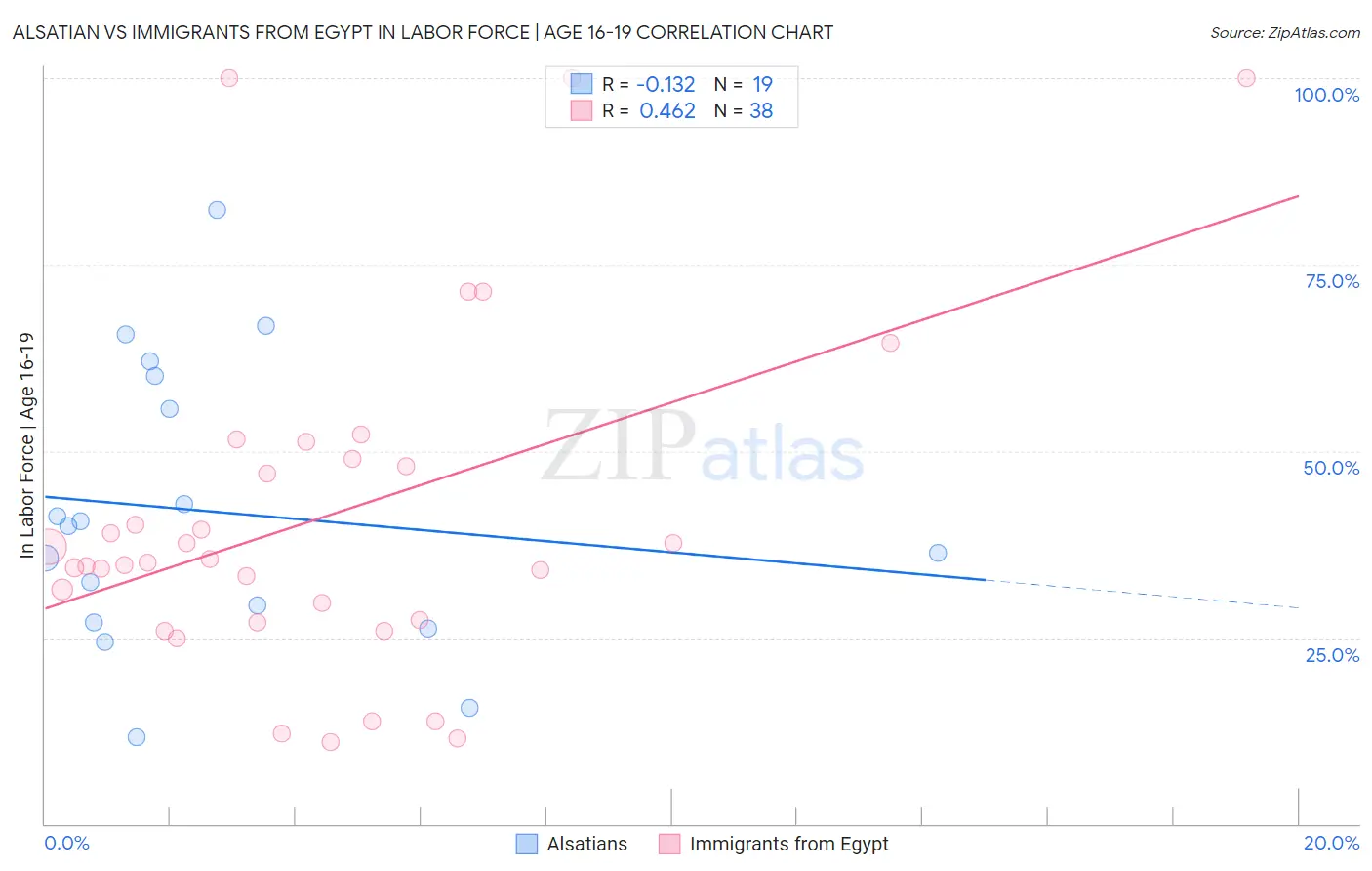 Alsatian vs Immigrants from Egypt In Labor Force | Age 16-19
