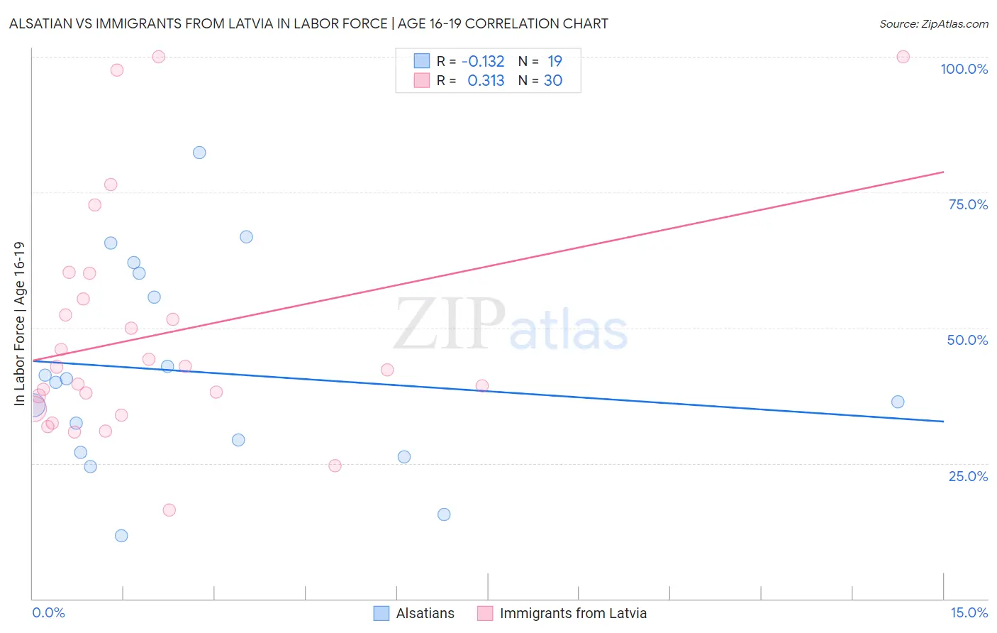 Alsatian vs Immigrants from Latvia In Labor Force | Age 16-19