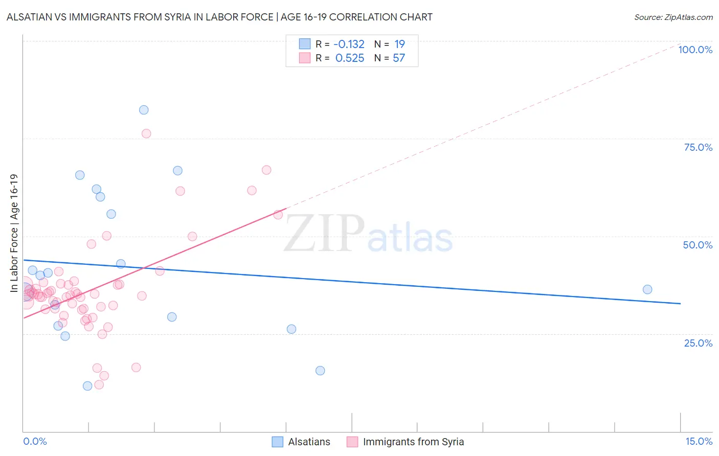 Alsatian vs Immigrants from Syria In Labor Force | Age 16-19