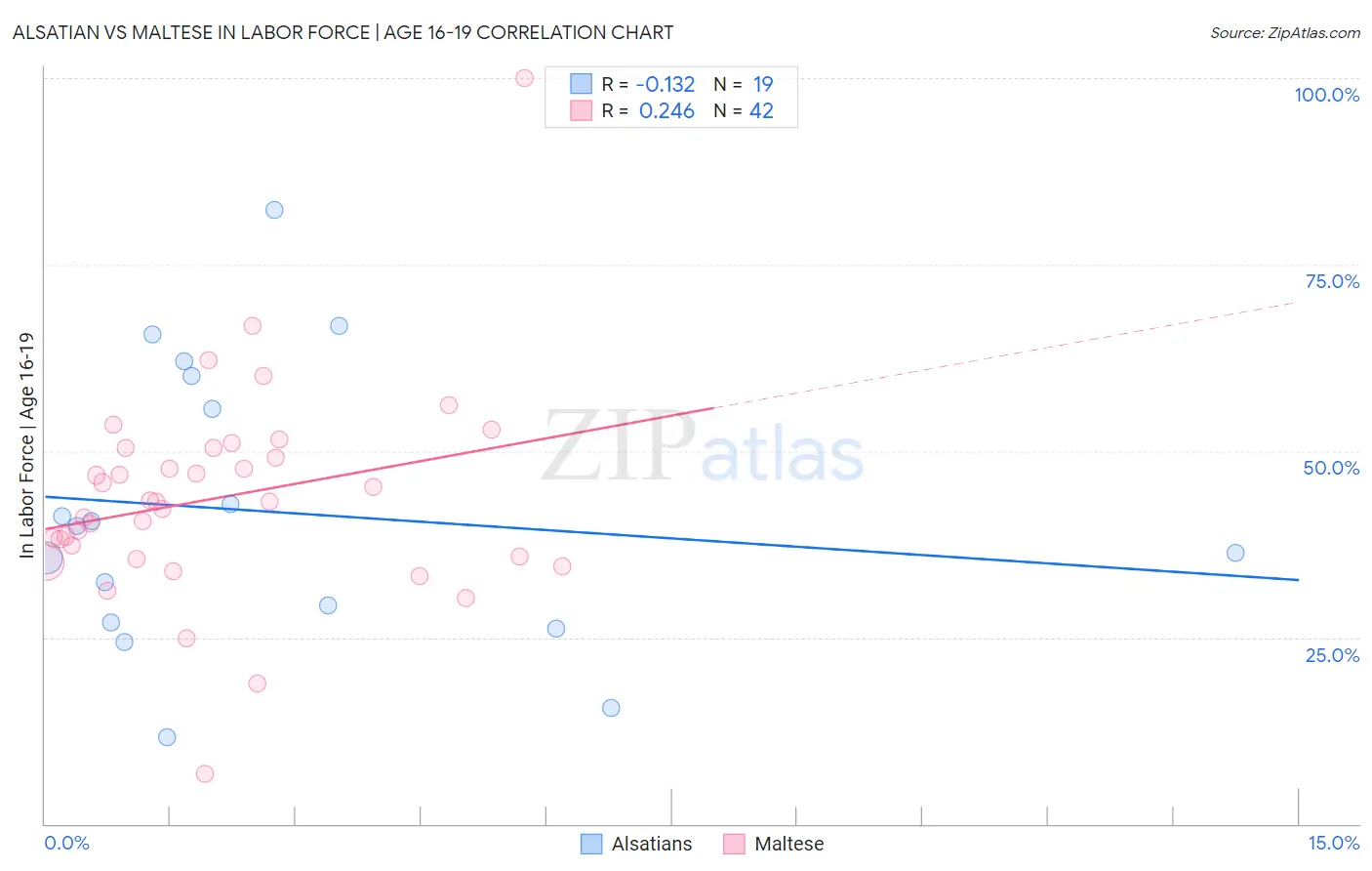 Alsatian vs Maltese In Labor Force | Age 16-19