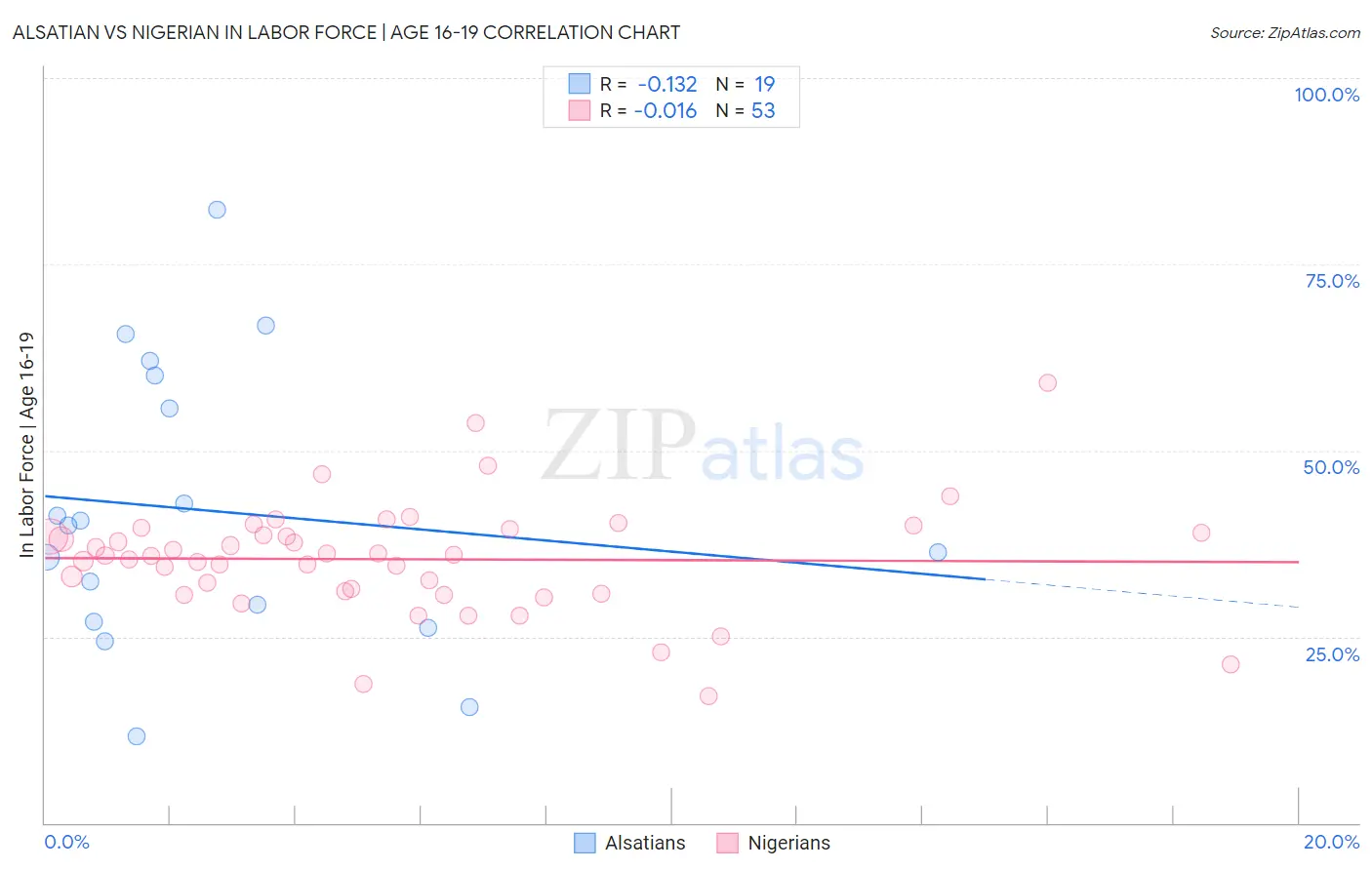 Alsatian vs Nigerian In Labor Force | Age 16-19