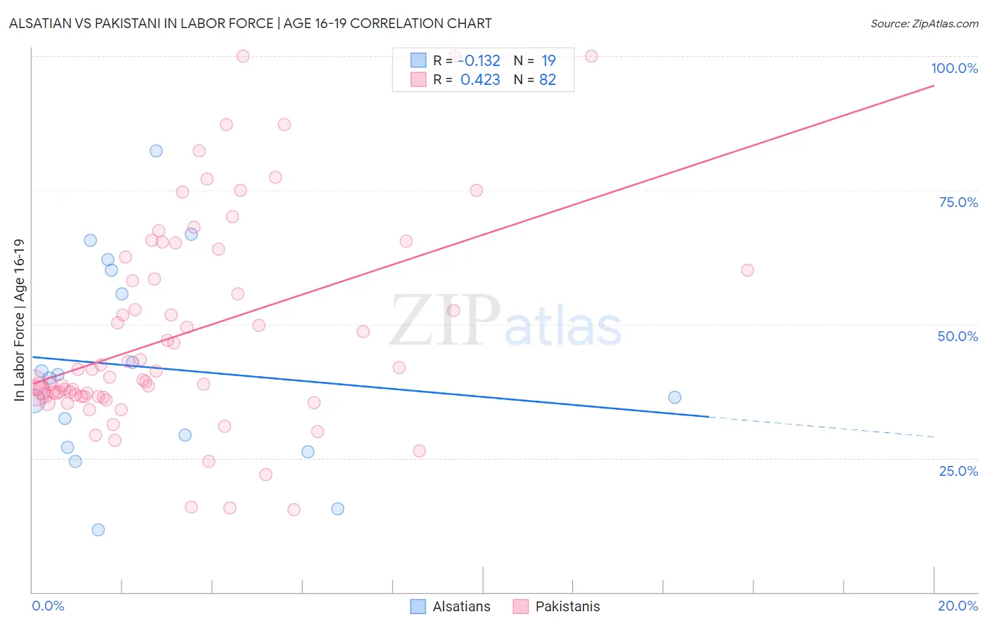 Alsatian vs Pakistani In Labor Force | Age 16-19