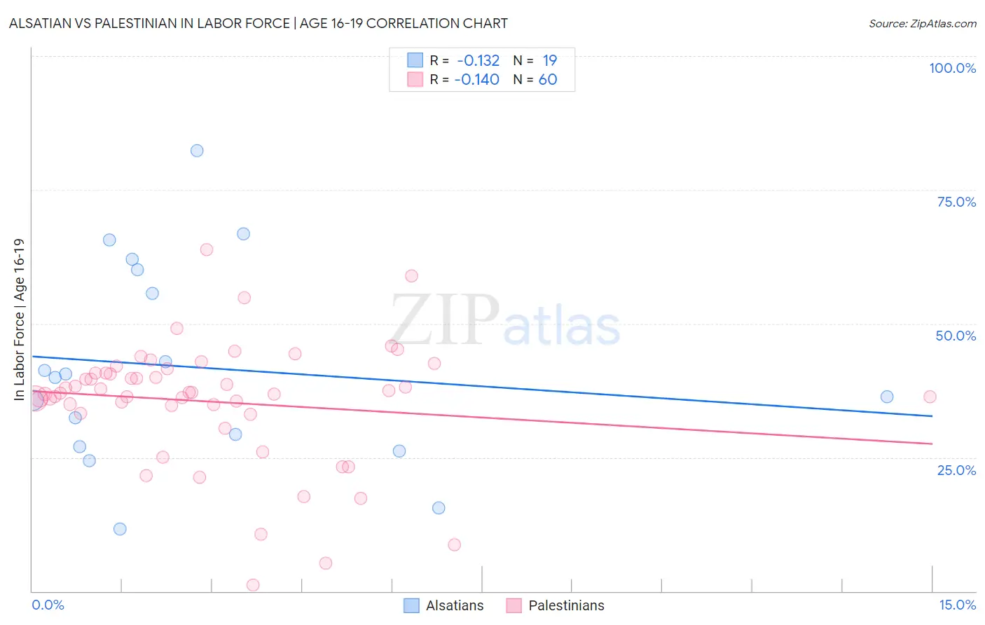 Alsatian vs Palestinian In Labor Force | Age 16-19