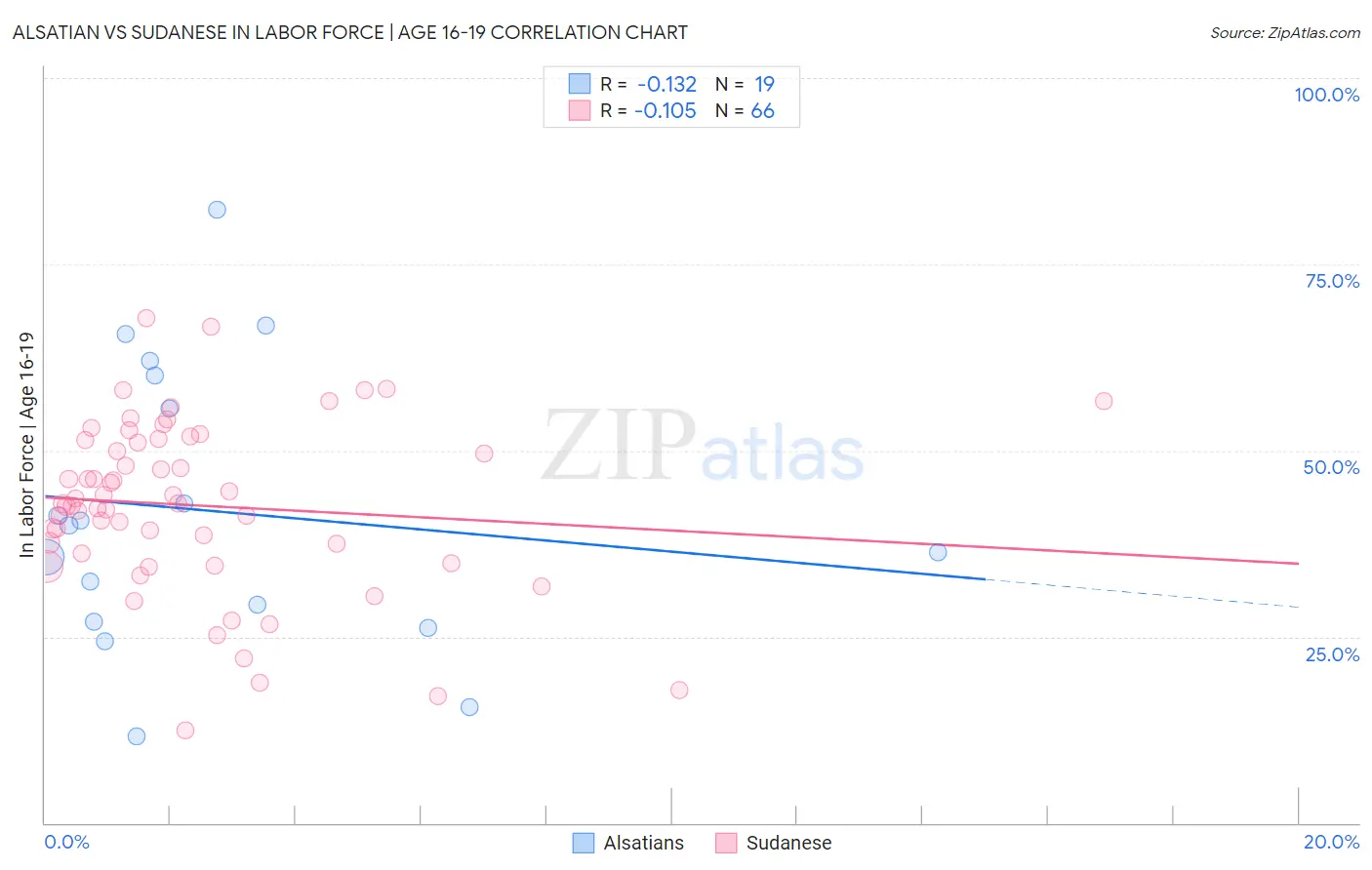 Alsatian vs Sudanese In Labor Force | Age 16-19