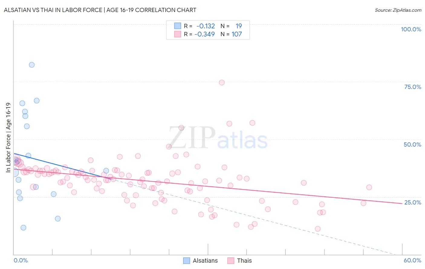Alsatian vs Thai In Labor Force | Age 16-19