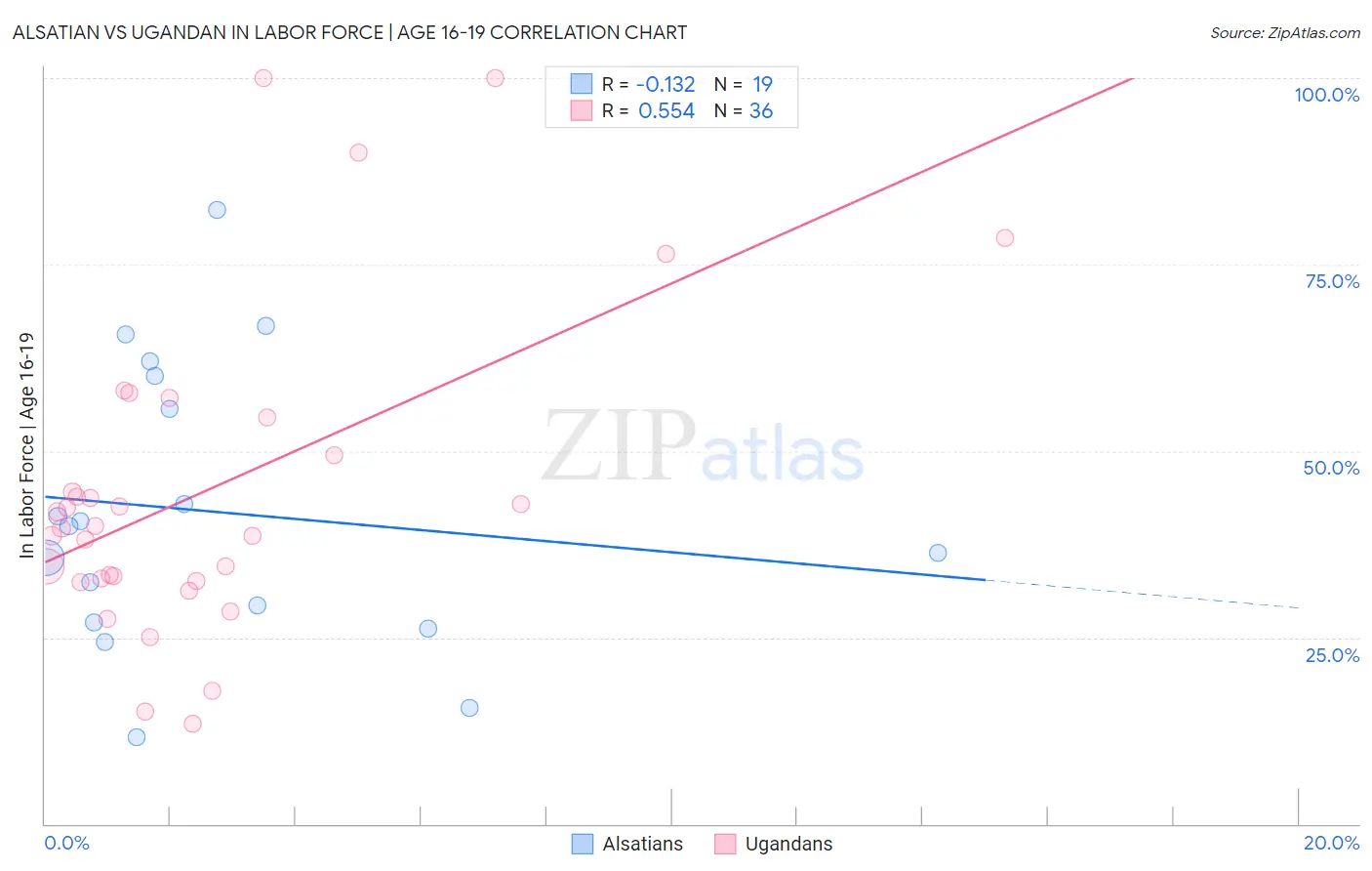 Alsatian vs Ugandan In Labor Force | Age 16-19