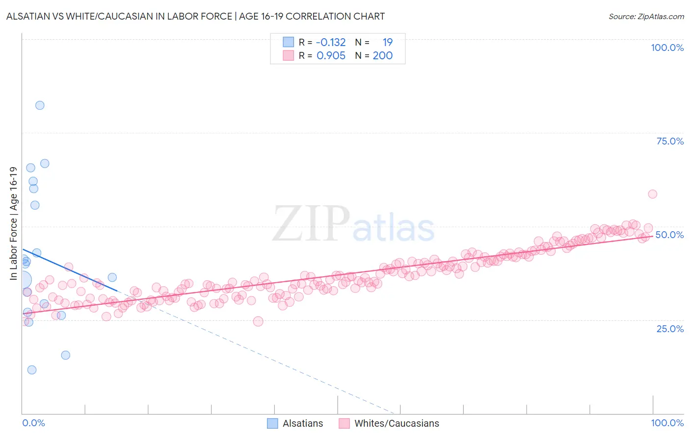 Alsatian vs White/Caucasian In Labor Force | Age 16-19