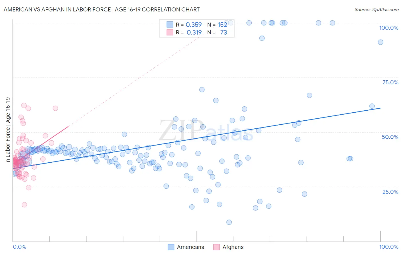 American vs Afghan In Labor Force | Age 16-19