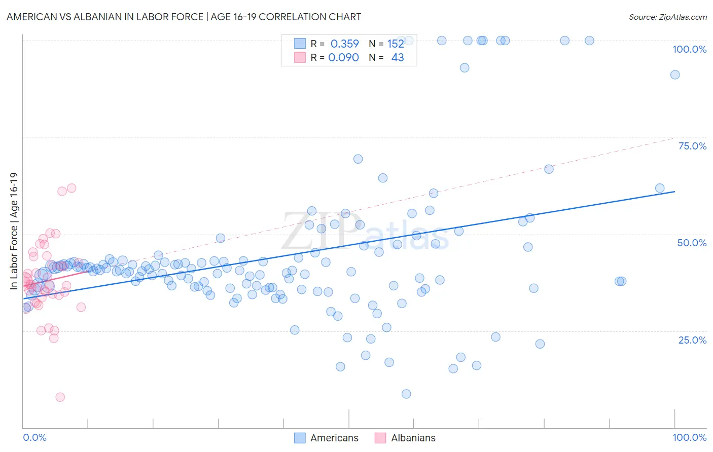 American vs Albanian In Labor Force | Age 16-19