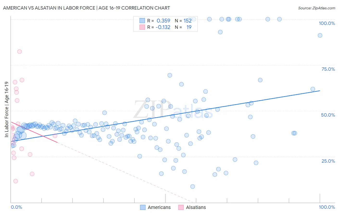 American vs Alsatian In Labor Force | Age 16-19