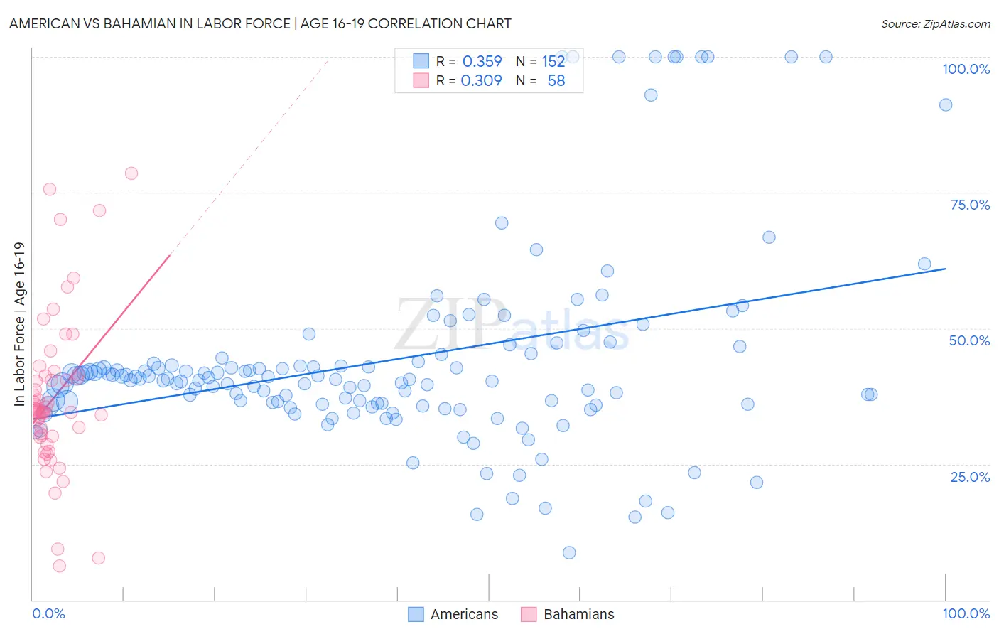 American vs Bahamian In Labor Force | Age 16-19