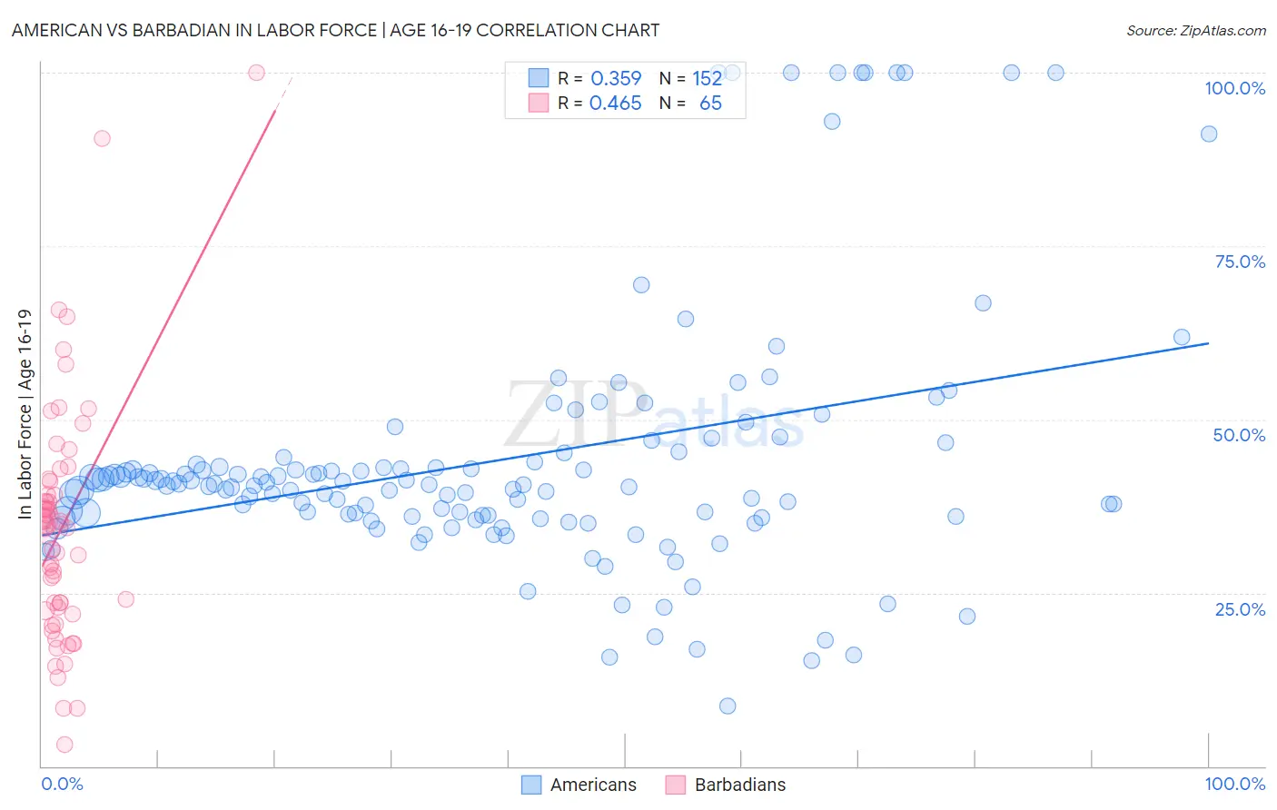 American vs Barbadian In Labor Force | Age 16-19