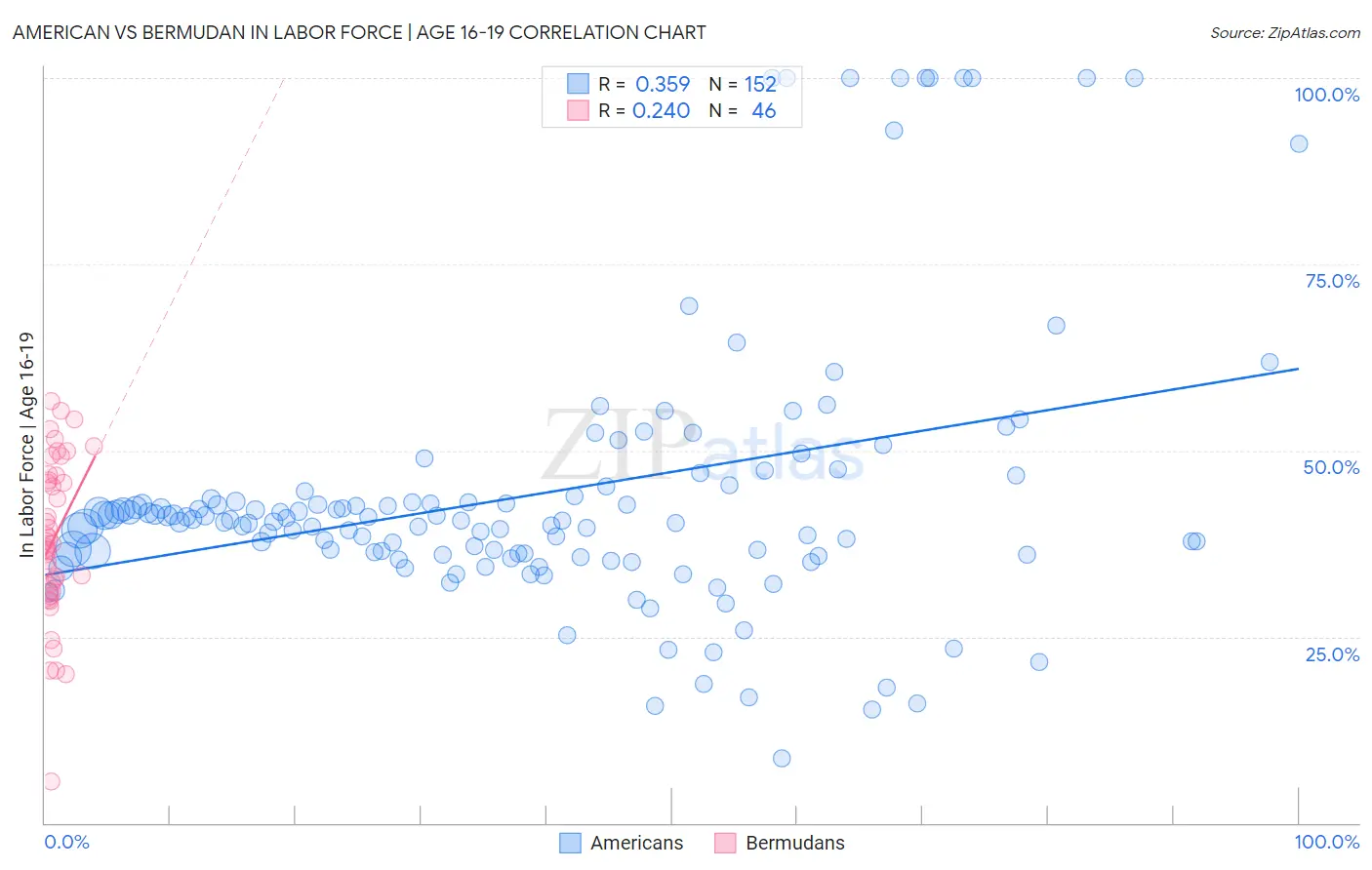 American vs Bermudan In Labor Force | Age 16-19