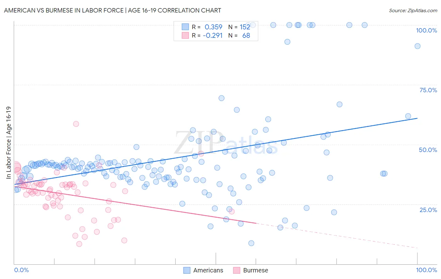 American vs Burmese In Labor Force | Age 16-19
