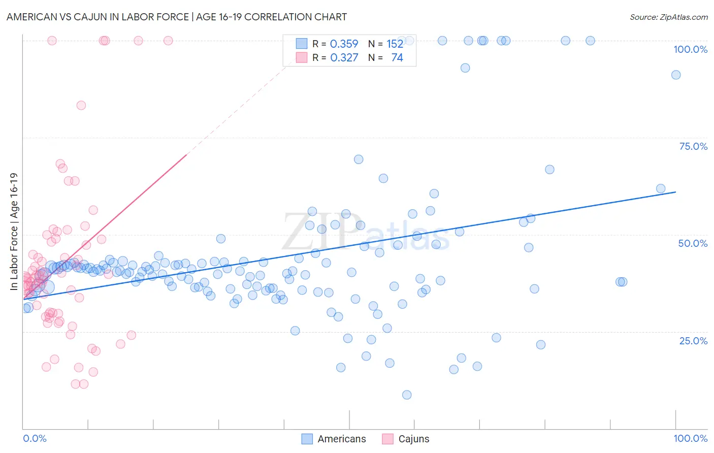 American vs Cajun In Labor Force | Age 16-19