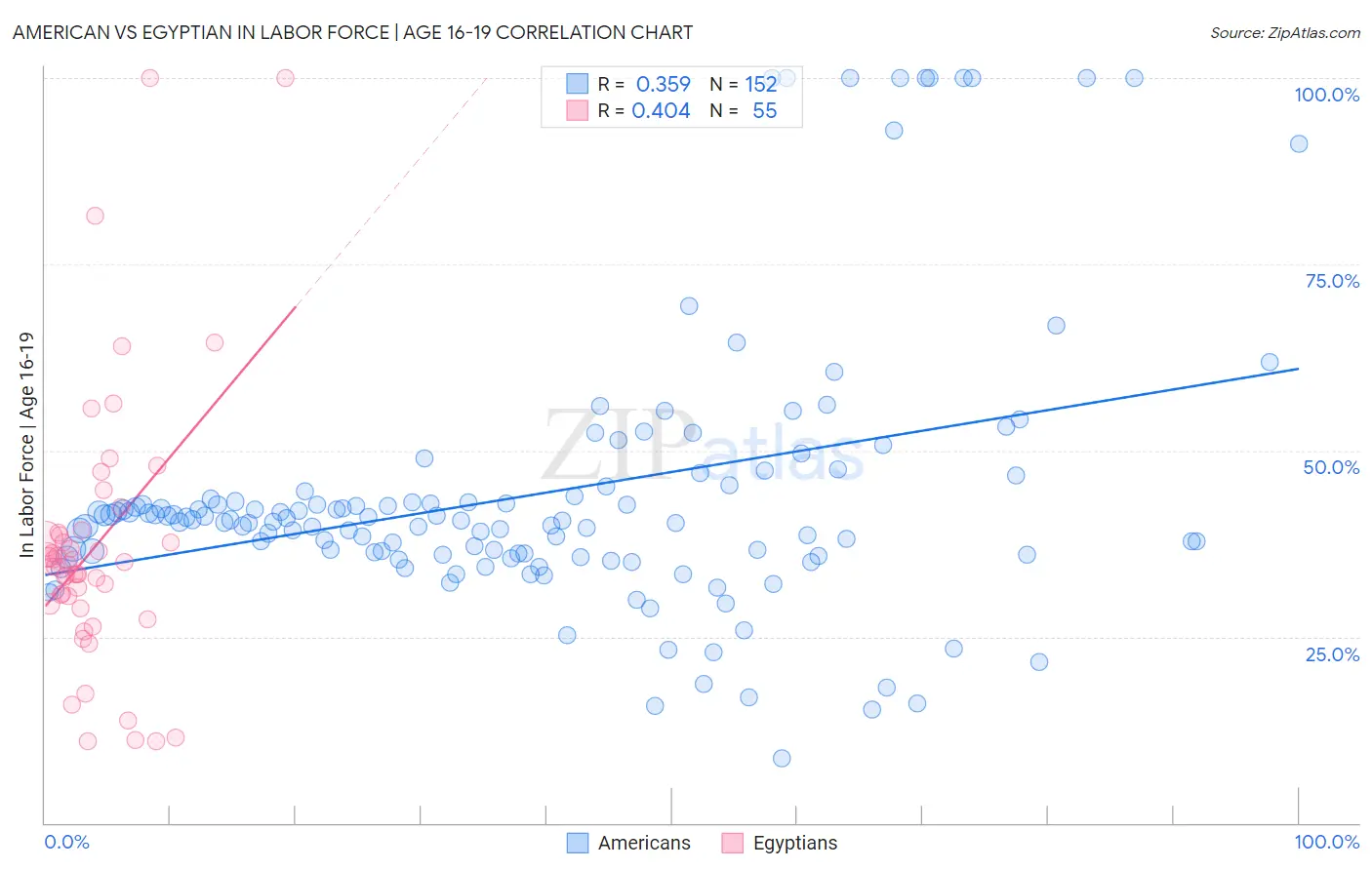 American vs Egyptian In Labor Force | Age 16-19