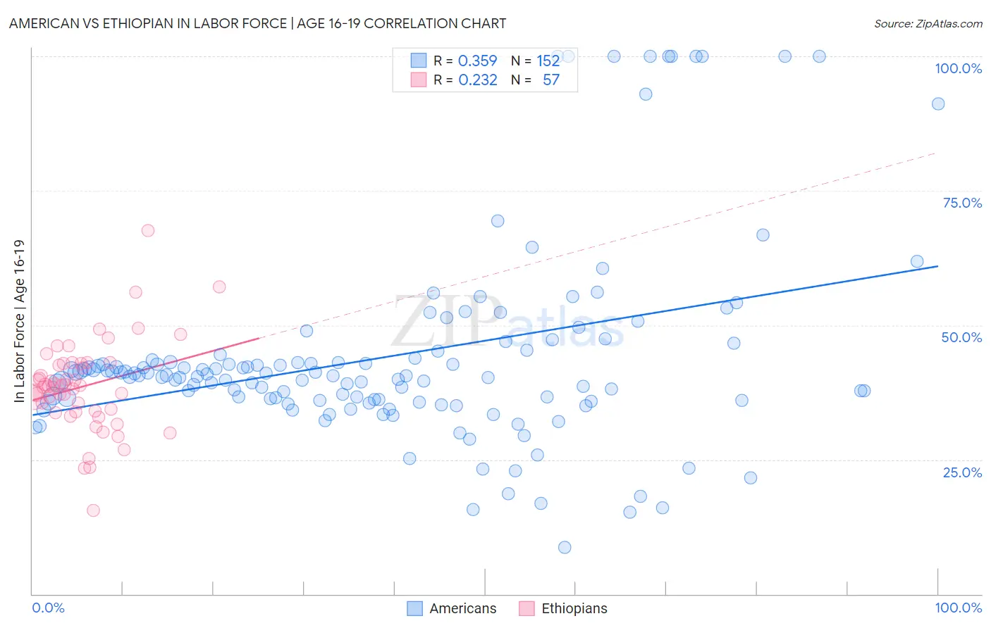 American vs Ethiopian In Labor Force | Age 16-19